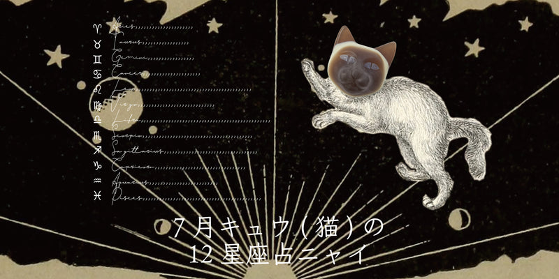 キュウ(猫)から7月の星のお便り