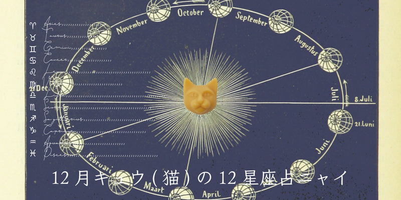 キュウ(猫)から12月の星のお便り