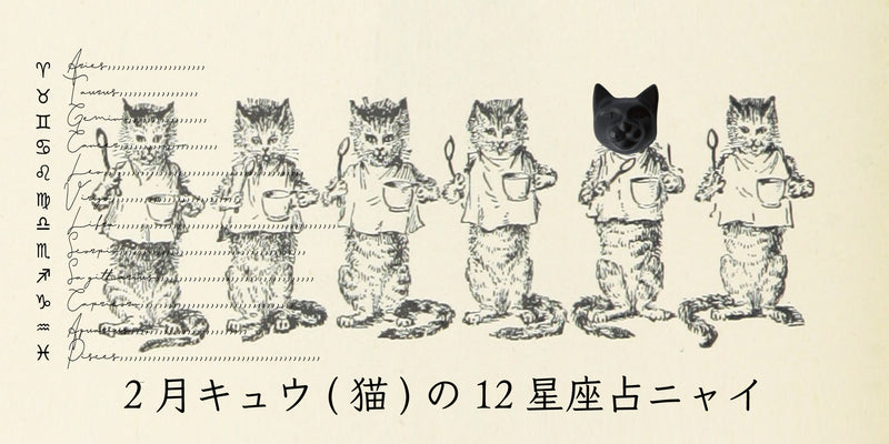 キュウ(猫)から2月の星のお便り