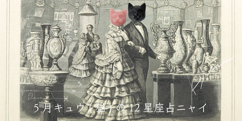 キュウ(猫)から5月の星のお便り