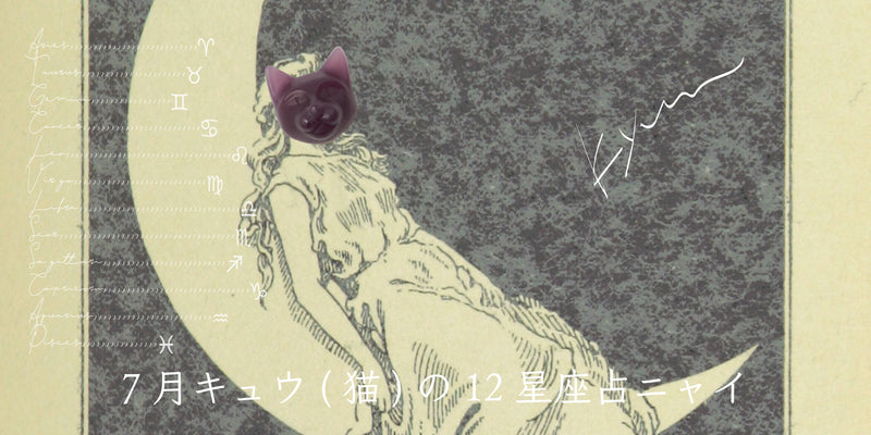 キュウ(猫)から7月の星のお便り