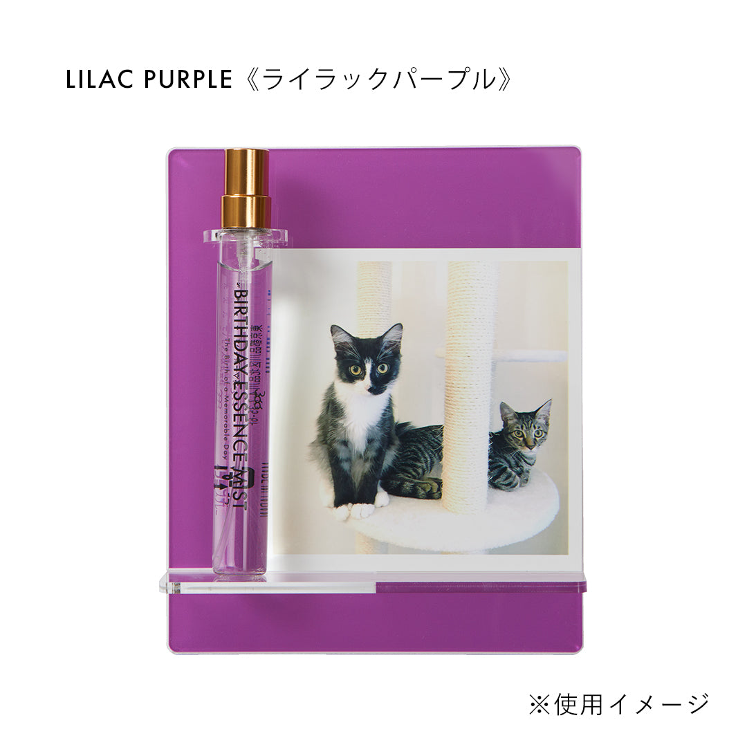 【ONLINE STORE限定】366 BIRTHDAY ACRYLIC STAND