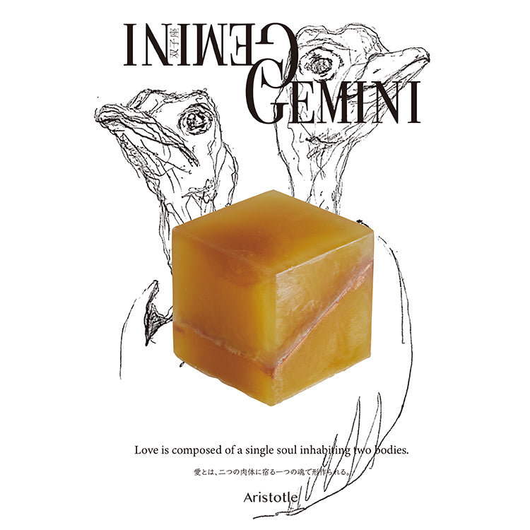 COSMIC CUBE Gemini(双子座)5/21-6/21