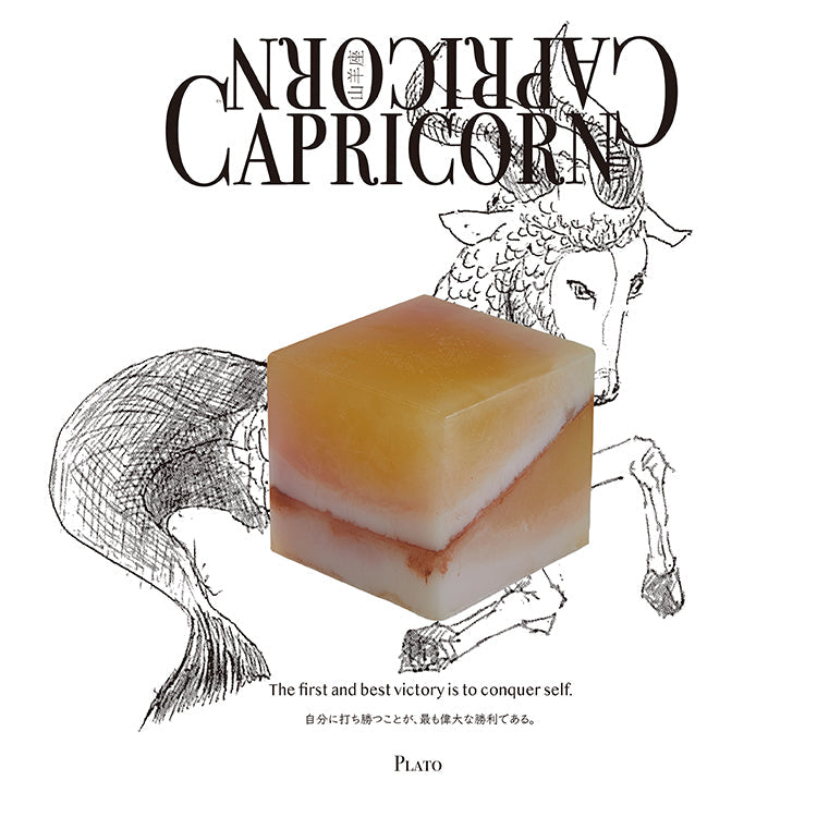 COSMIC CUBE Capricorn(山羊座)12/22-1/19