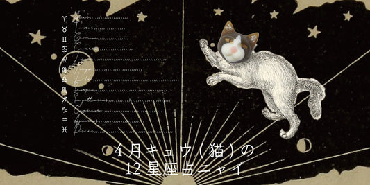 キュウ（猫）から4月の星のお便り