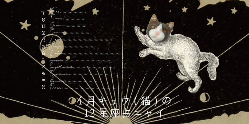 キュウ（猫）から4月の星のお便り