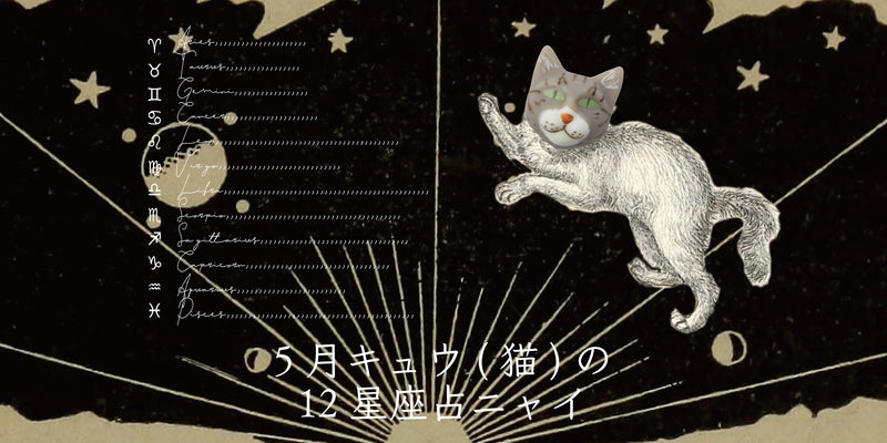 キュウ（猫）から5月の星のお便り