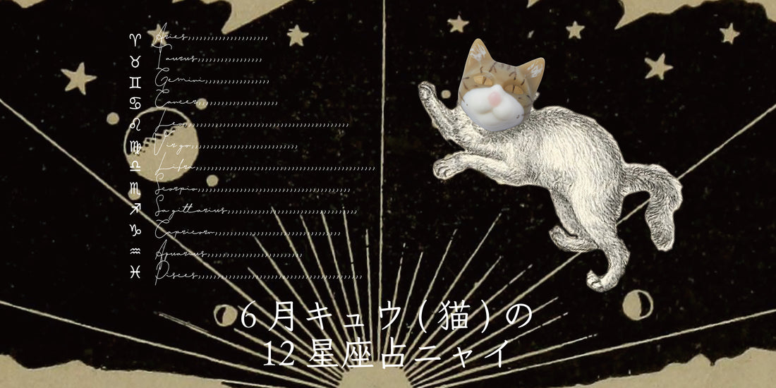 キュウ（猫）から6月の星のお便り