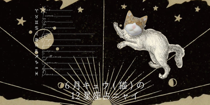 キュウ（猫）から6月の星のお便り