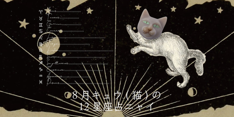 キュウ（猫）から8月の星のお便り