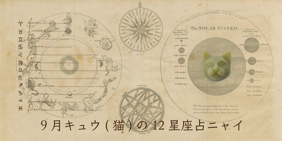 キュウ（猫）から9月の星のお便り