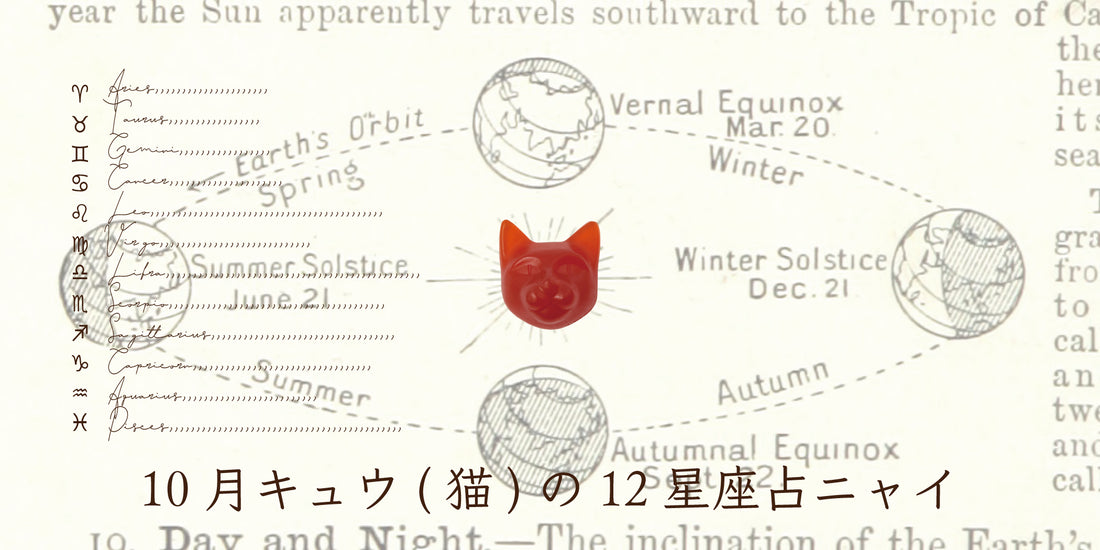 キュウ（猫）から10月の星のお便り