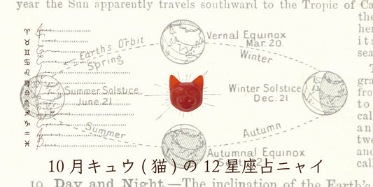 キュウ（猫）から10月の星のお便り