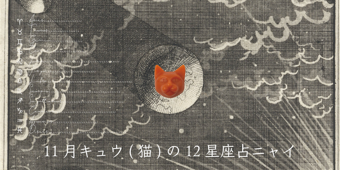 キュウ（猫）から11月の星のお便り