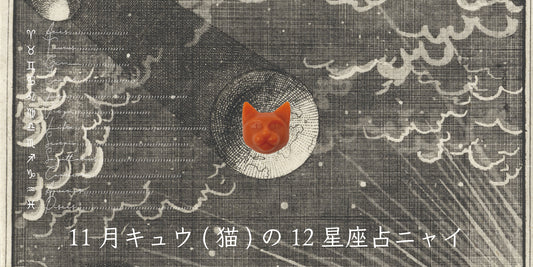 キュウ（猫）から11月の星のお便り