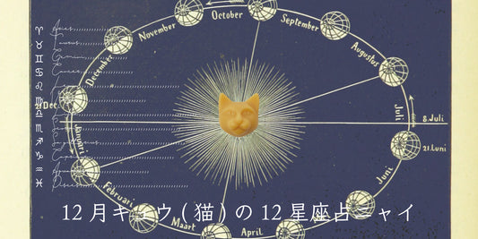 キュウ（猫）から12月の星のお便り