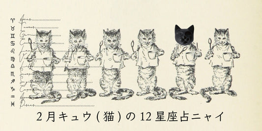 キュウ（猫）から2月の星のお便り