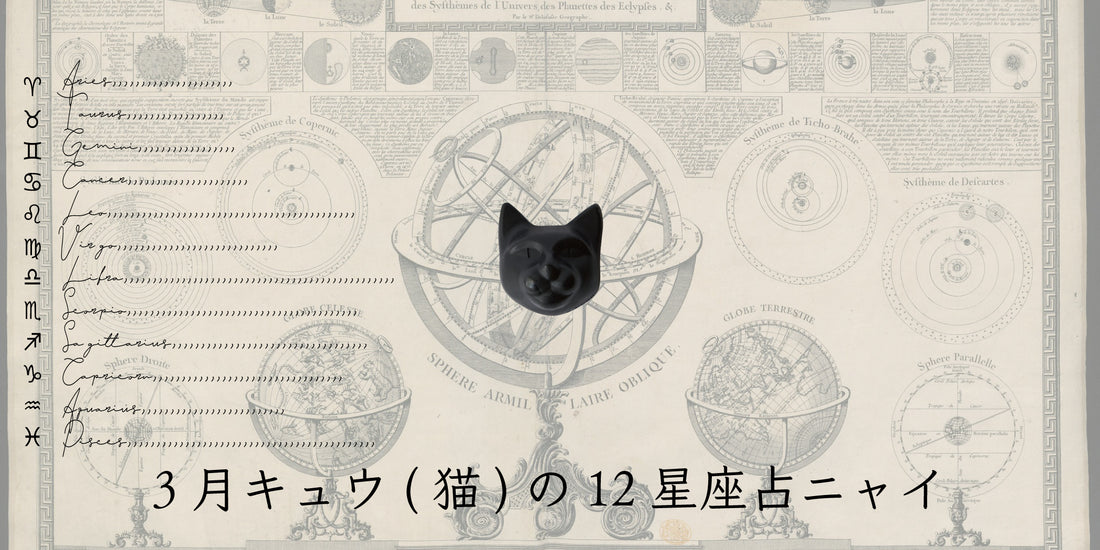 キュウ（猫）から3月の星のお便り