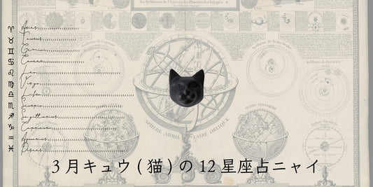 キュウ（猫）から3月の星のお便り