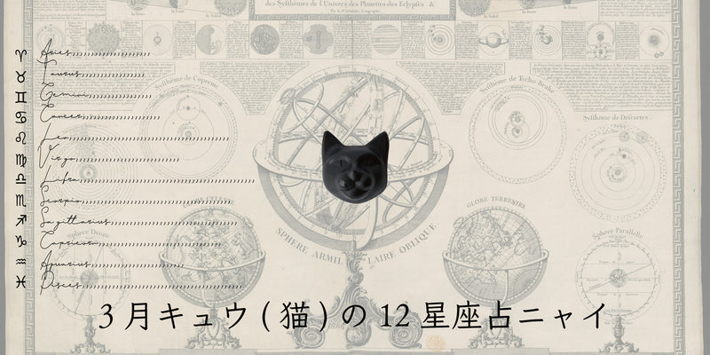 キュウ（猫）から3月の星のお便り