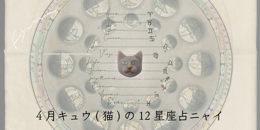 キュウ（猫）から4月の星のお便り