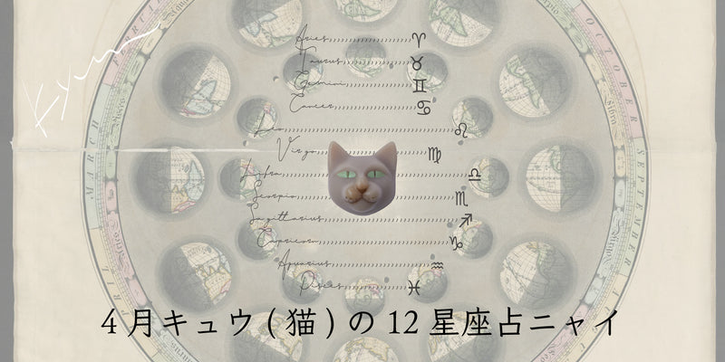 キュウ（猫）から4月の星のお便り