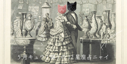 キュウ（猫）から5月の星のお便り