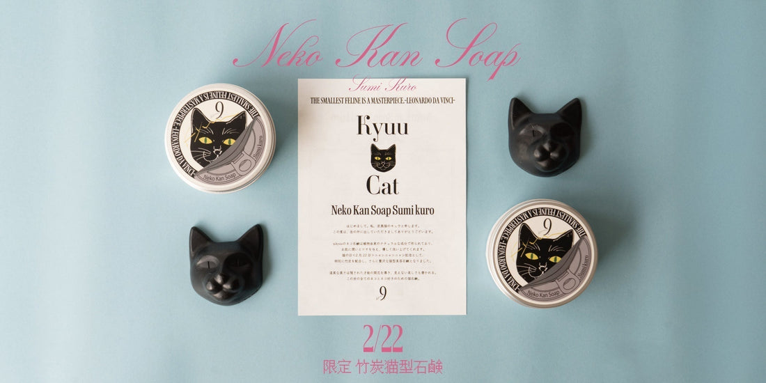 【Moeka】猫の日がやってきますね₍^.,.^₎⟆