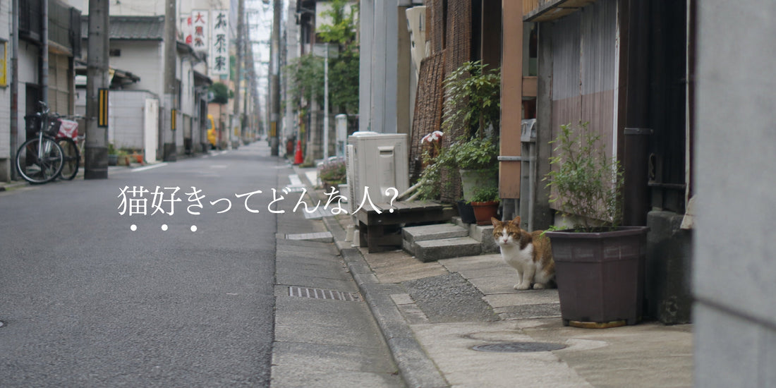 【Sanchan】猫好きってどんな人？