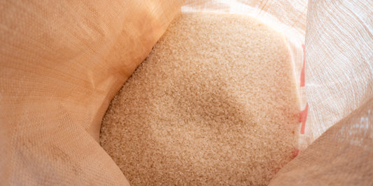 【間も無くお届け!】F.roomスタッフの実家から、秋に届く“とっておき”の予約限定米を間も無くお届けいたします🌾