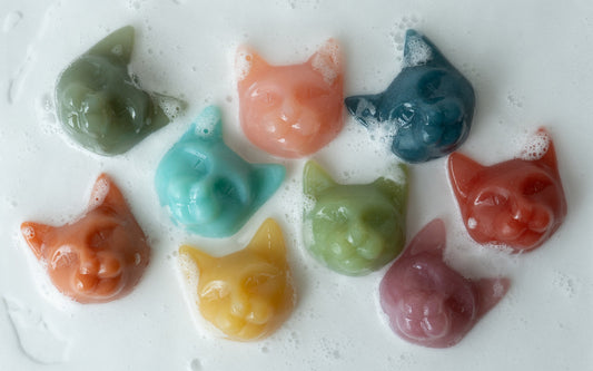 【Moeka】『あなたを魅了するネコの不思議』9.kyuuはなぜ猫なのか...？