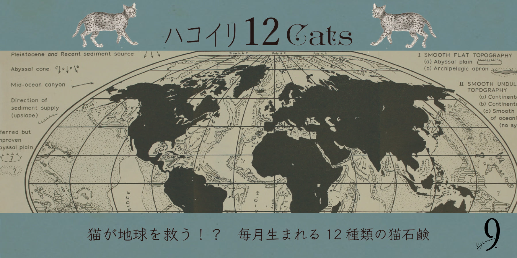 ハコイリ12Cats