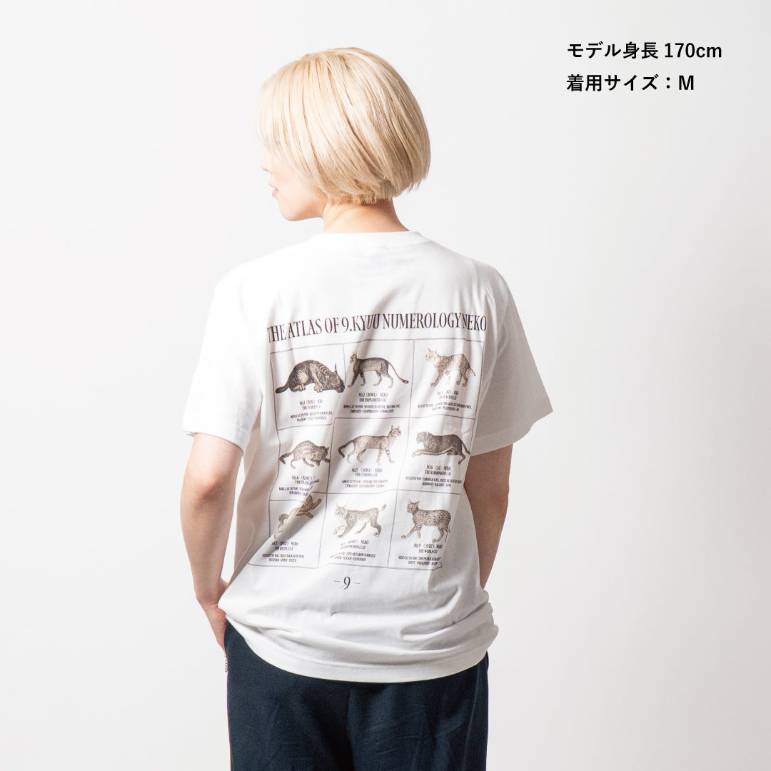 猫TEE《Atlas》