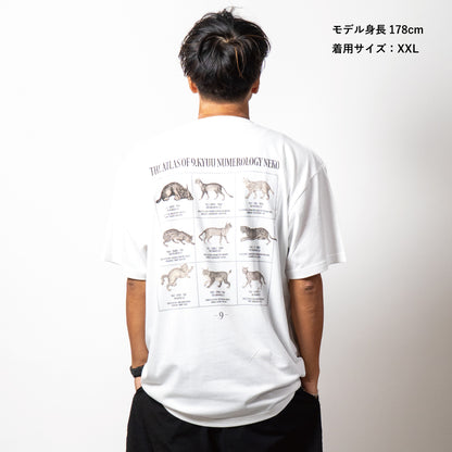 猫TEE《Atlas》