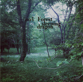 No.4 Forest sleeping dragon ~森の吐息が包み込む香り~
