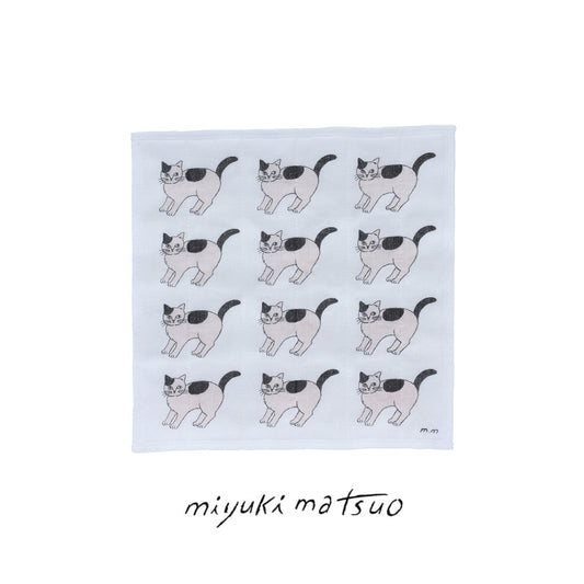 〈마츠오 미유키〉카야후킨 호박
