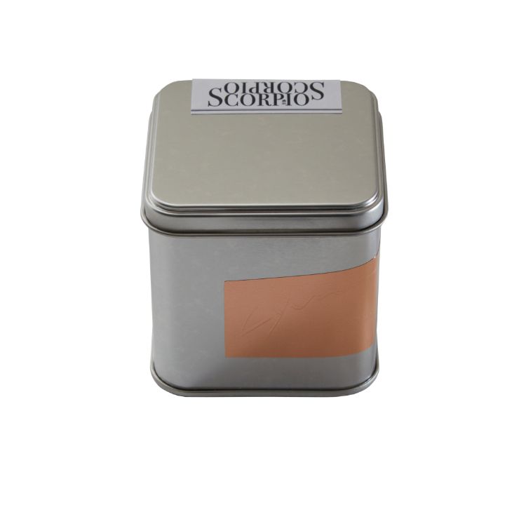 COSMIC CUBE Scorpio (October 24th - November 22nd)