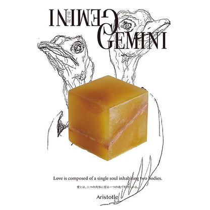COSMIC CUBE Gemini (Gemini) 5/21-6/21